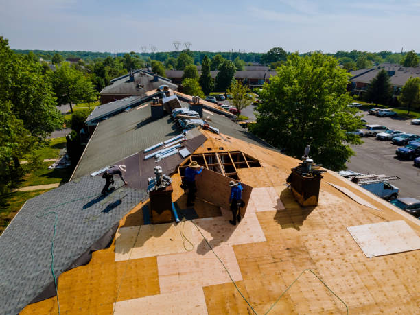 Best Commercial Roofing Services  in Derma, MS