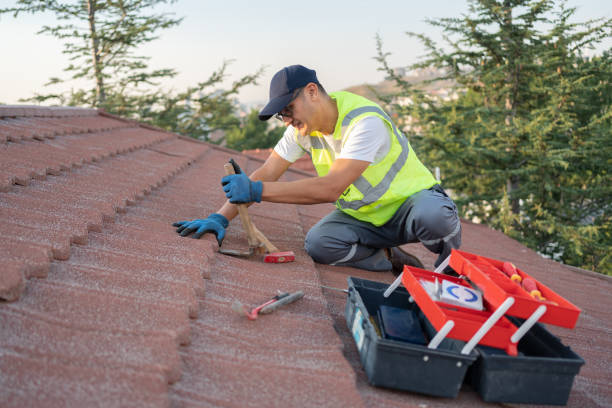 Best Roofing Contractor Near Me  in Derma, MS