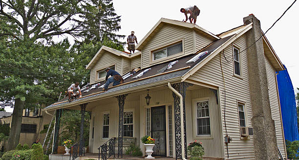 Best Shingle Roofing Installation  in Derma, MS
