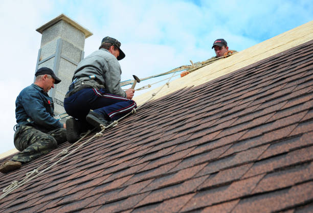  Derma, MS Roofing Contractor Pros
