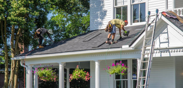 Best Roof Waterproofing Services  in Derma, MS