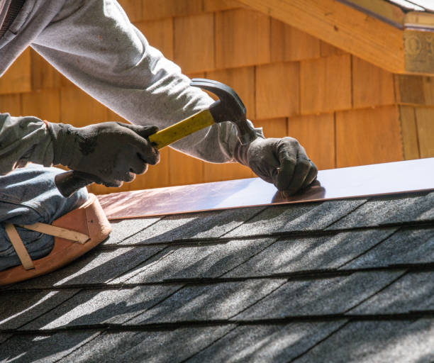 Best Roof Gutter Cleaning  in Derma, MS